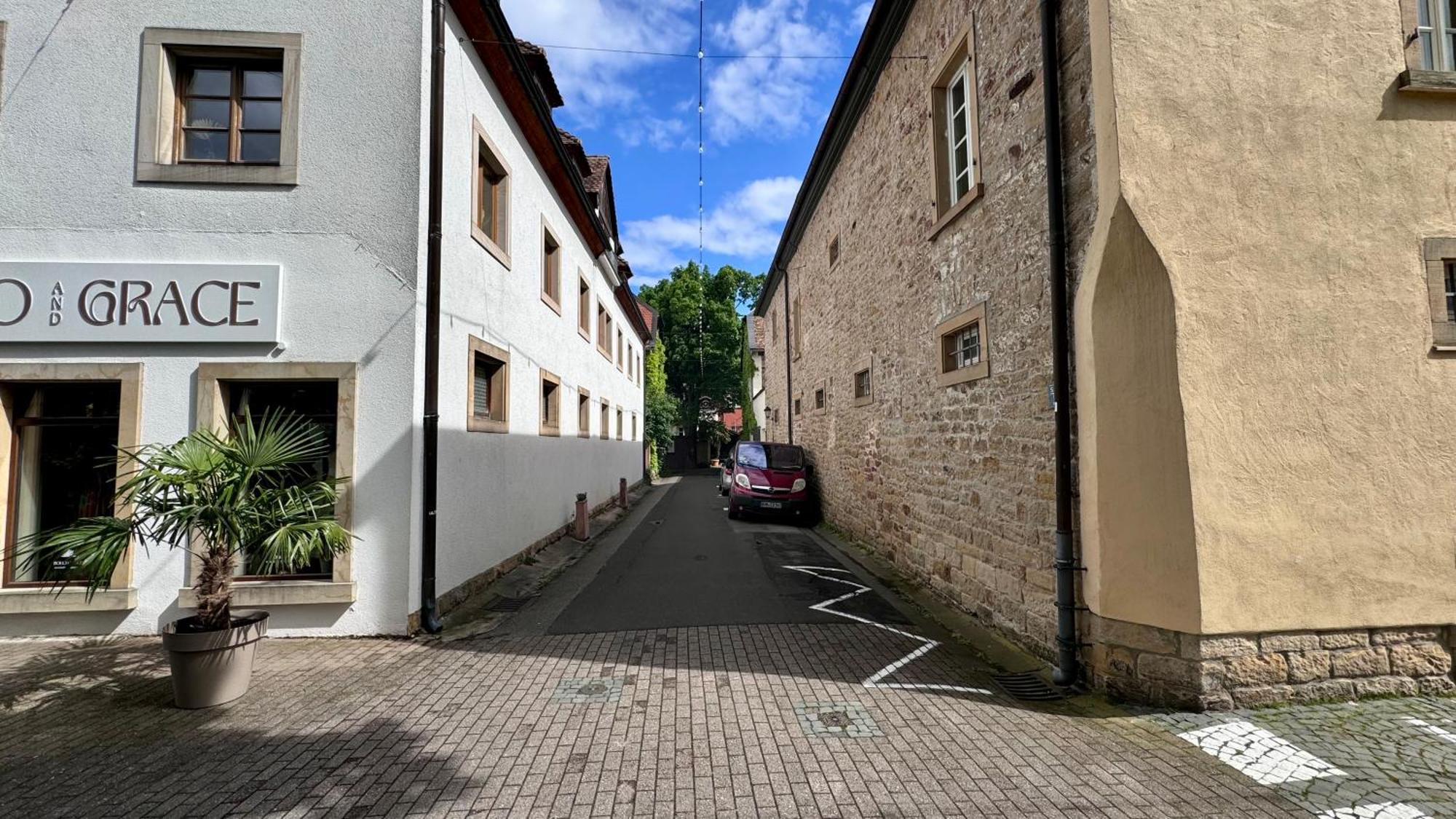 Design Penthouse Im Alten Schloss Deidesheim Kültér fotó